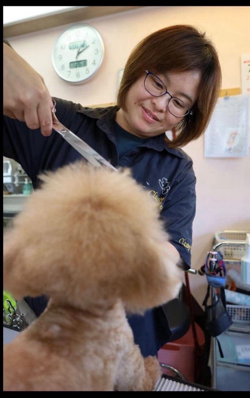 愛犬をトリミングする原田史歩さん
